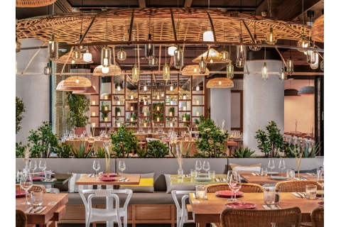  深圳的餐飲家具批發(fā)廠家，餐桌椅子批發(fā)市場(chǎng)在哪里？